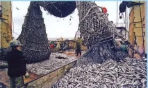 Час розплати «Порт-Петровськ»
