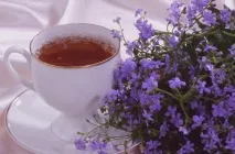 Чай з чебрецем користь і шкода - Блог про здоров’я, медицину та спорт користь