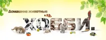 Бутокссепт, ПК «Коло» води