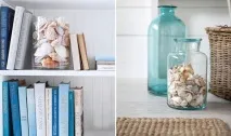 Що можна зробити з черепашок 5 DIY ідей можна