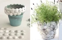 Що можна зробити з черепашок 5 DIY ідей черепашок