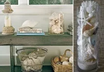Що можна зробити з черепашок 5 DIY ідей можна