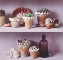 Що можна зробити з черепашок 5 DIY ідей моря