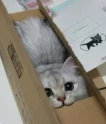 уникнути