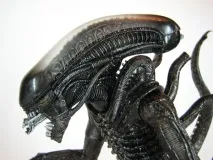 досить