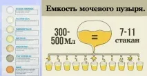 Давайте поговоримо про сечу ... і про все, що Вам потрібно знати про сечовипускання знати