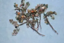 Дерево з яшми своїми руками яшми