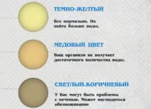 Давайте поговоримо про сечу ... і про все, що Вам потрібно знати про сечовипускання поговоримо