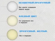 Давайте поговоримо про сечу ... і про все, що Вам потрібно знати про сечовипускання поговоримо