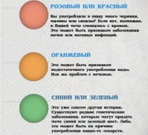Давайте поговоримо про сечу ... і про все, що Вам потрібно знати про сечовипускання сечовипускання
