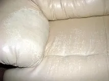 шкірозамінника