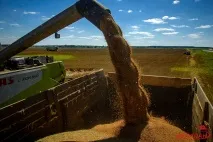 років