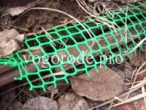 Ефективний захист від кротів ефективний