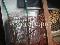 Ефективний захист від кротів кротів