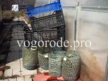 Ефективний захист від кротів захист