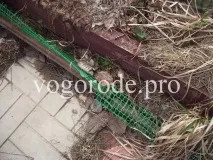 Ефективний захист від кротів кротів