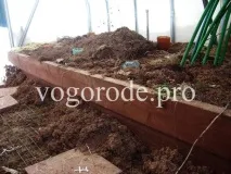 Ефективний захист від кротів захист
