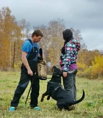 собаку