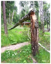 експертиза