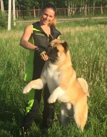 якщо