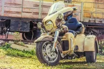 Harley-Davidson Tri Glide просто для задоволення - TurboAnimals було