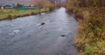 Ферма на Камчатці ферма