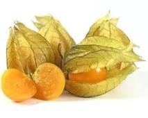 шкода