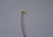 Гіацинт із бісеру у покроковому фото та відео майстер-класі гіацинт
