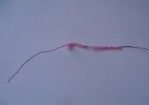 Гіацинт із бісеру у покроковому фото та відео майстер-класі відео