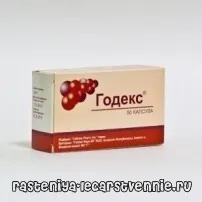 годекс