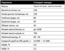 Голштинська порода корів опис та продуктивність породи корів
