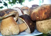 Грибний пісний суп грибний