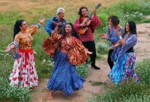 Цікаві факти про циган цікаві