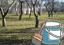 Як і для чого потрібно білити дерева білити