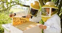 Які хвороби людей лікують домашні вихованці лікують