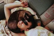 Які хвороби людей лікують домашні вихованці хвороби