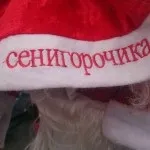 Як написати статтю грамотно написати