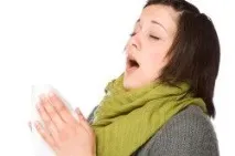 полин