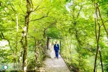 Як повинен працювати весільний фахівець, щоб не закрити свою справу свою