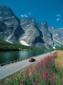 Туристична компанія Grand Travel Group, Партнерська програма, Блог Інвестора компанія