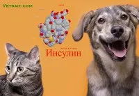 інсулін
