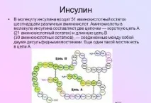 інсулін