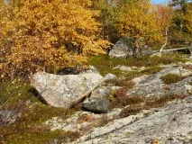 Інтернет-портал ВСЕ ПРО ГІПЕРБОРІЮ україну