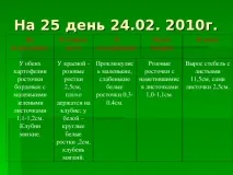 Дослідницька практика - Раз картопля, два картопля - початкові класи, інше практика