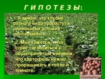 Дослідницька практика - Раз картопля, два картопля - початкові класи, інше дослідницька