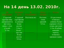Дослідницька практика - Раз картопля, два картопля - початкові класи, інше початкові