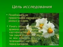 Дослідницька практика - Раз картопля, два картопля - початкові класи, інше картопля