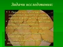 Дослідницька практика - Раз картопля, два картопля - початкові класи, інше дослідницька