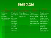 Дослідницька практика - Раз картопля, два картопля - початкові класи, інше картопля