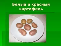 Дослідницька практика - Раз картопля, два картопля - початкові класи, інше картопля